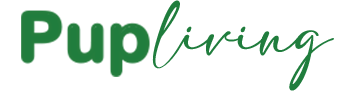 Blog Logo